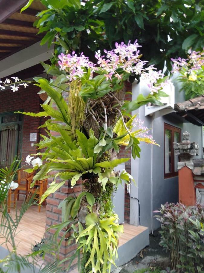 Twins Homestay Canggu  Exterior photo